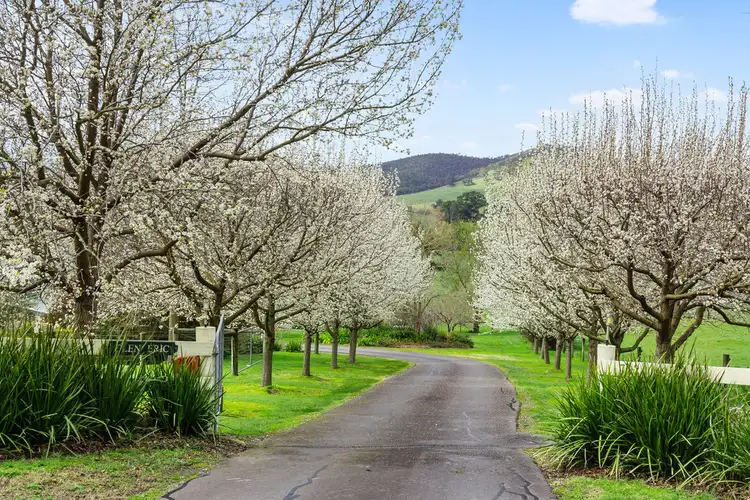 Second view of Homely house listing, 702 Steels Creek Road, Steels Creek VIC 3775
