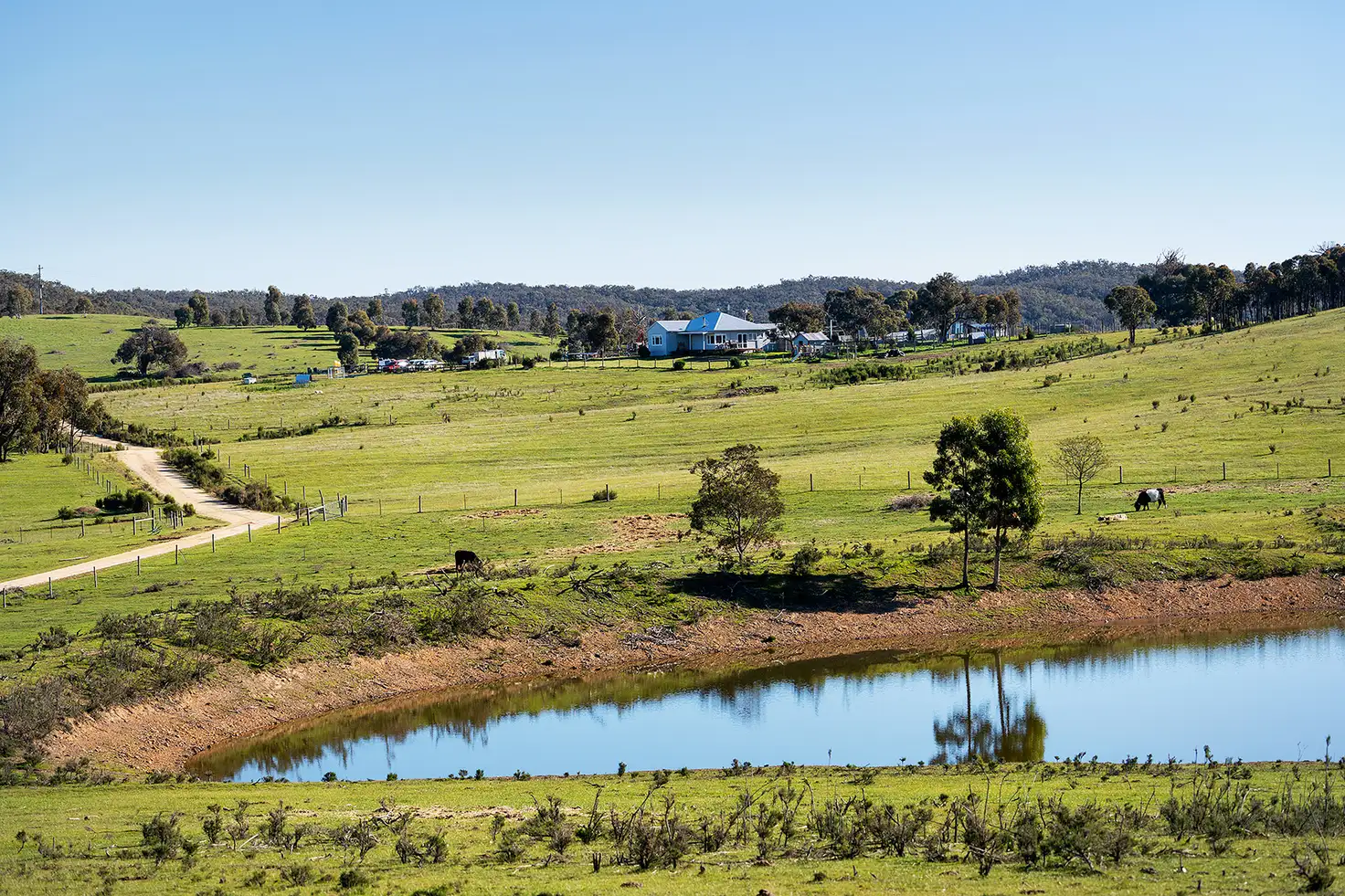 Main view of Homely rural property listing, 180 Pyrenees Highway, Elphinstone VIC 3448