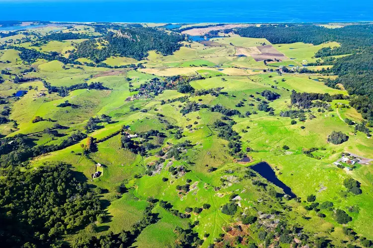 Second view of Homely rural property listing, 49 Mount Dromedary Trail, Tilba Tilba NSW 2546