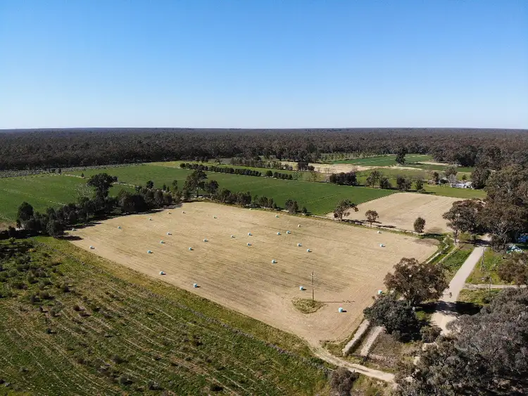 Second view of Homely rural property listing, 39 Tickells Road, Leitchville VIC 3567