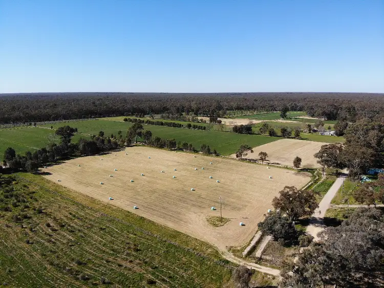 Fourth view of Homely rural property listing, 39 Tickells Road, Leitchville VIC 3567