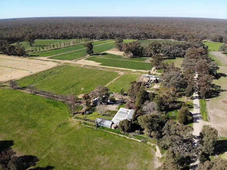 Sixth view of Homely rural property listing, 39 Tickells Road, Leitchville VIC 3567