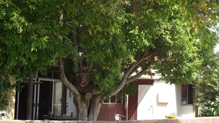 Seventh view of Homely block of units listing, 213 Oxley Ave, Margate QLD 4019