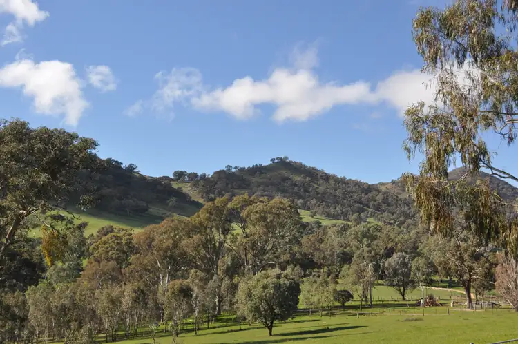 Sixth view of Homely house listing, 480 Monkey Gully Road, Mansfield VIC 3722