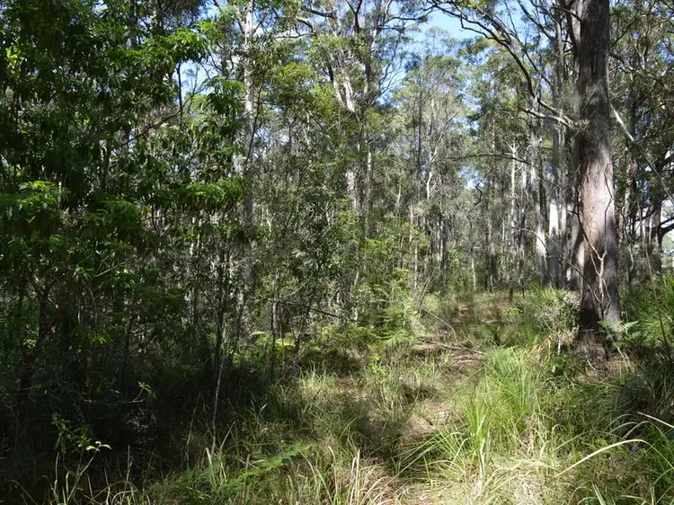 Third view of Homely land listing, Lot 2 Curramore Road, Curramore QLD 4552