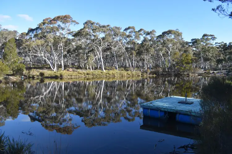 2168 Mayfield Road, Lower Boro NSW 2580