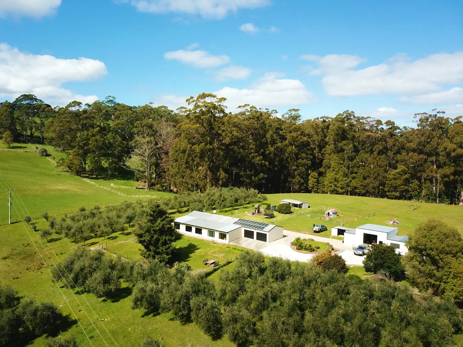 Main view of Homely rural property listing, 445 Coopers Lane, Wynyard TAS 7325
