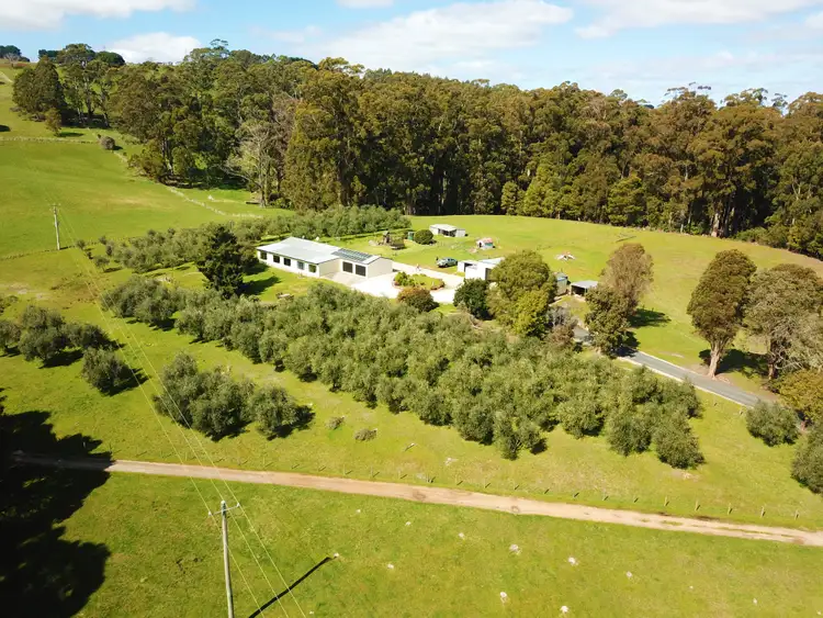 Second view of Homely rural property listing, 445 Coopers Lane, Wynyard TAS 7325