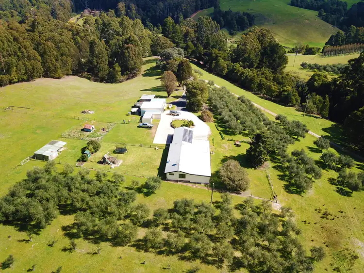 Sixth view of Homely rural property listing, 445 Coopers Lane, Wynyard TAS 7325