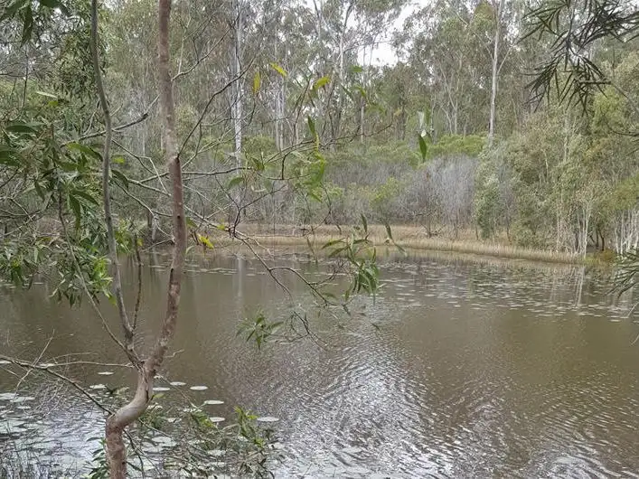 Main view of Homely rural property listing, 73 Baumanns Road, Avondale QLD 4670