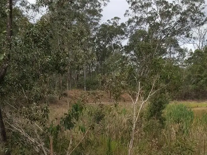 Fourth view of Homely rural property listing, 73 Baumanns Road, Avondale QLD 4670