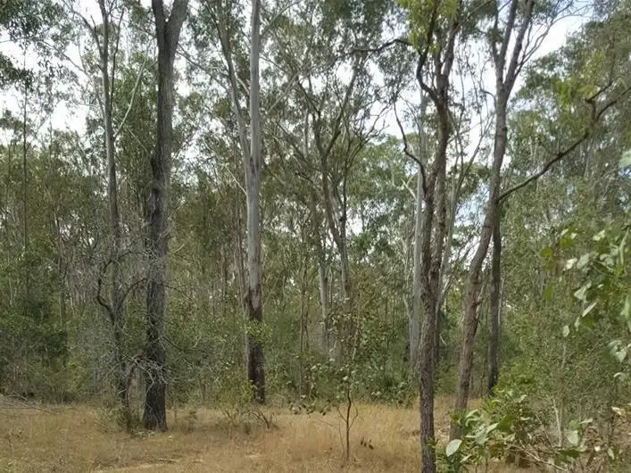 Fifth view of Homely rural property listing, 73 Baumanns Road, Avondale QLD 4670