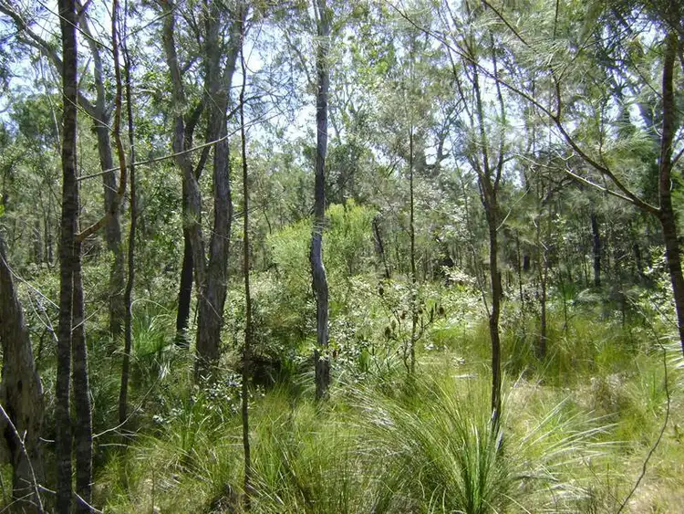 Second view of Homely rural property listing, 171 Seabreeze Court, Deepwater QLD 4674