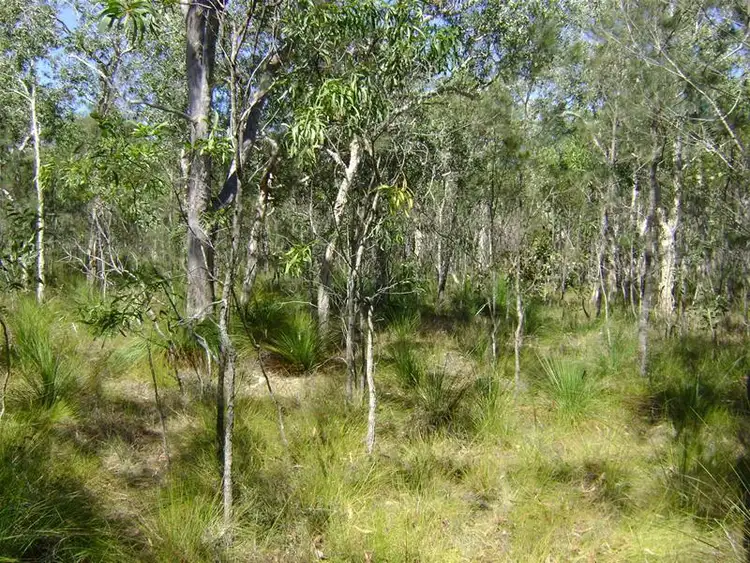 Third view of Homely rural property listing, 171 Seabreeze Court, Deepwater QLD 4674