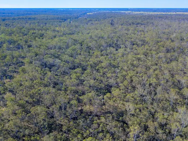 Seventh view of Homely rural property listing, 244 Invicta-Smiths Crossing Road, Avondale QLD 4670