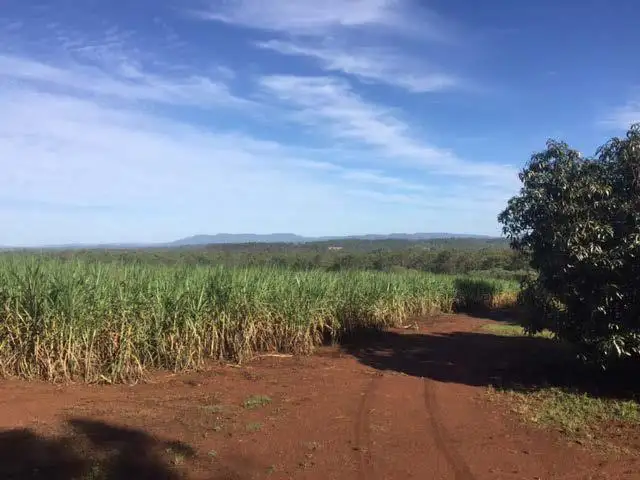 Sixth view of Homely rural property listing, 219 Walla Island Road, Duingal QLD 4671