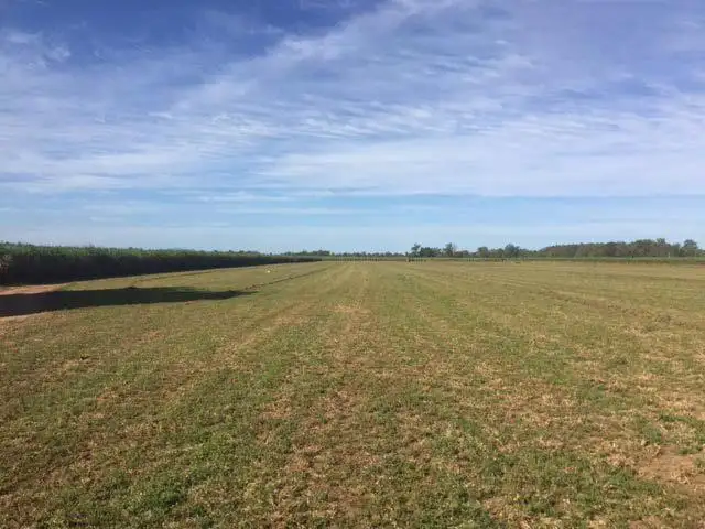 Seventh view of Homely rural property listing, 219 Walla Island Road, Duingal QLD 4671