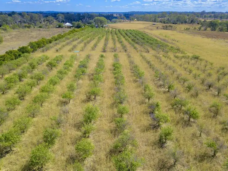 Seventh view of Homely rural property listing, 34 Lymers Road, South Kolan QLD 4670