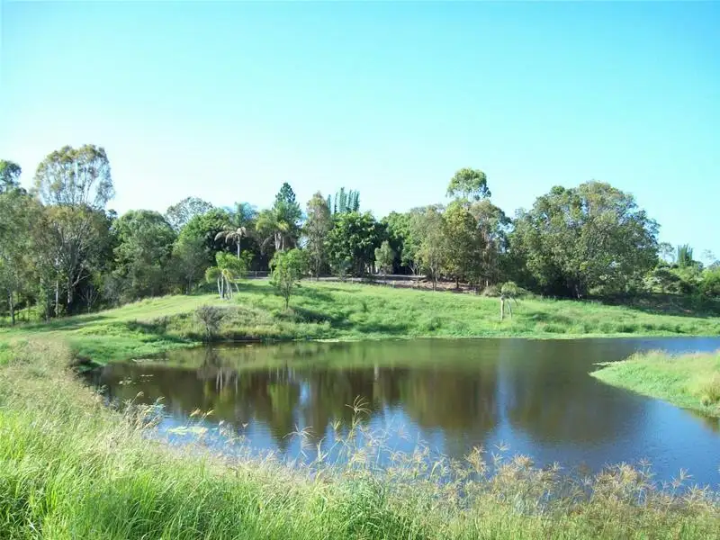 Main view of Homely rural property listing, 223 Back Electra Road, Electra QLD 4670