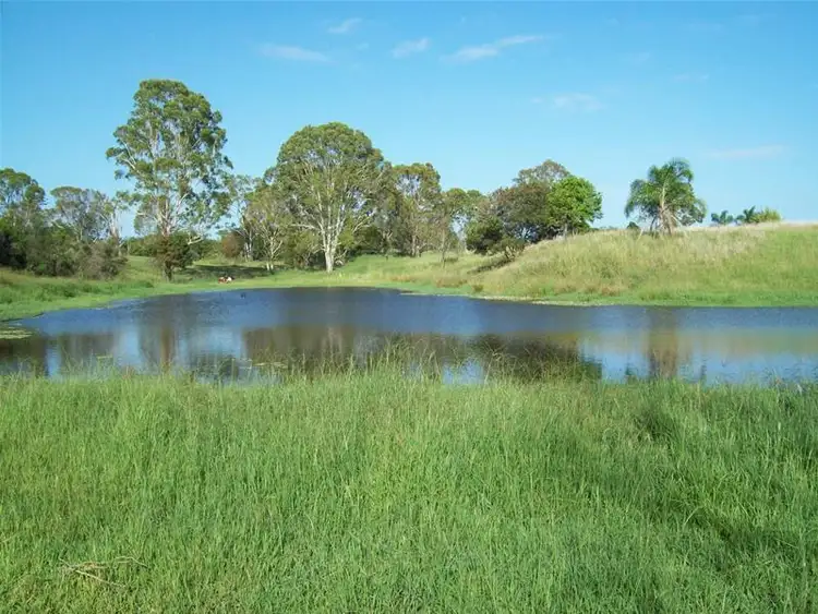 Fourth view of Homely rural property listing, 223 Back Electra Road, Electra QLD 4670