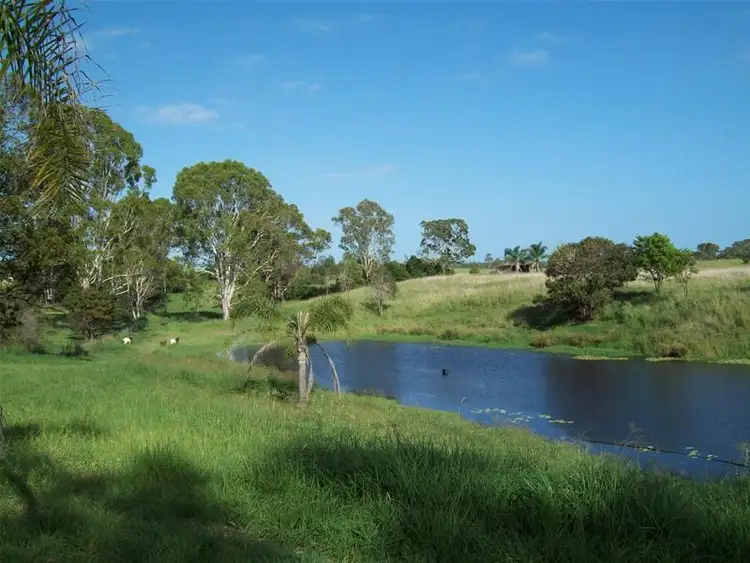 Fifth view of Homely rural property listing, 223 Back Electra Road, Electra QLD 4670