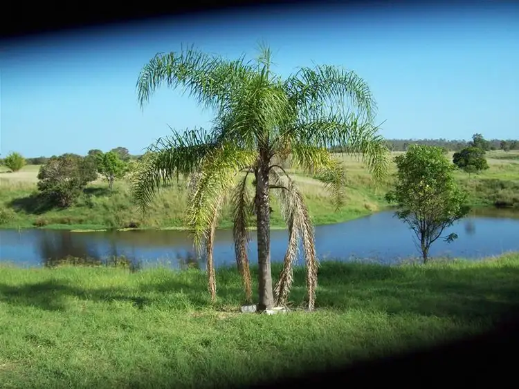 Sixth view of Homely rural property listing, 223 Back Electra Road, Electra QLD 4670