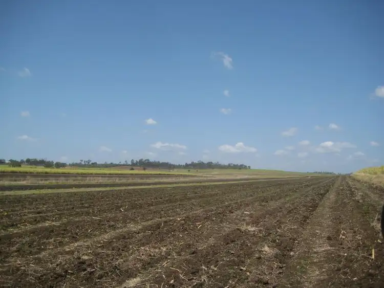 Second view of Homely rural property listing, 101 Elleray Road, Mcilwraith QLD 4671