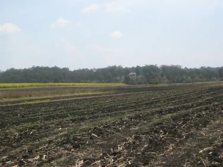 Third view of Homely rural property listing, 101 Elleray Road, Mcilwraith QLD 4671