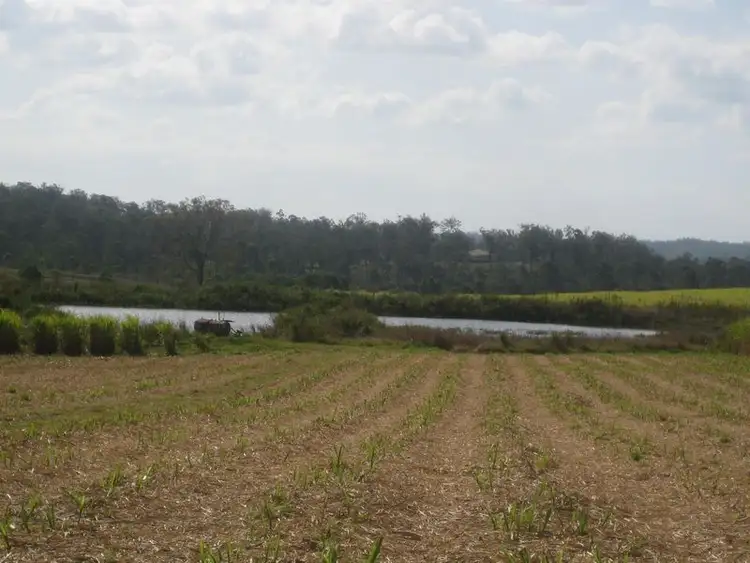 Fourth view of Homely rural property listing, 101 Elleray Road, Mcilwraith QLD 4671