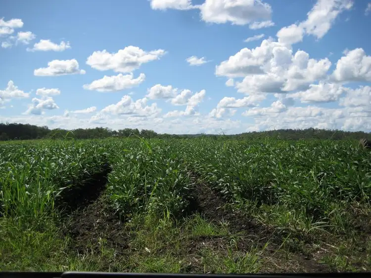 Seventh view of Homely rural property listing, 101 Elleray Road, Mcilwraith QLD 4671