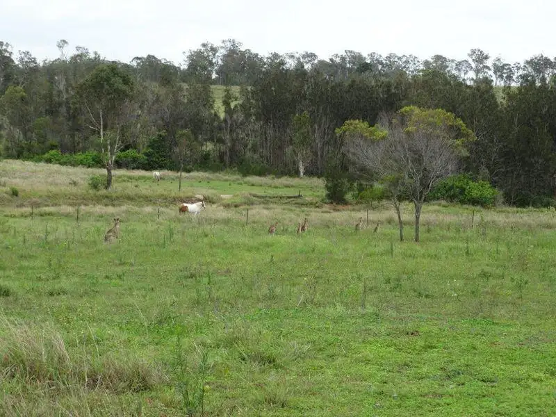 Main view of Homely rural property listing, 38 Hinrichs Road, Rosedale QLD 4674