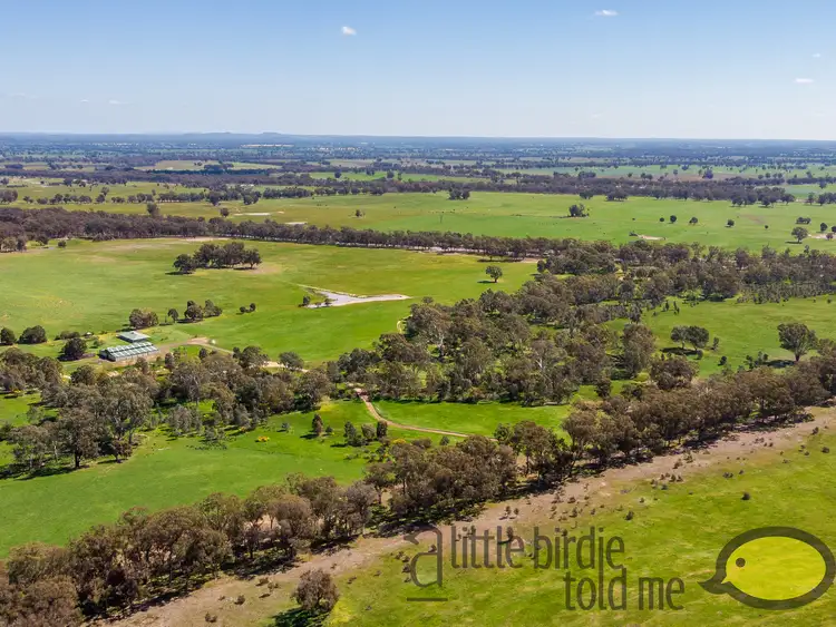 Fifth view of Homely rural property listing, 572 MCCRACKENS ROAD, Locksley VIC 3665