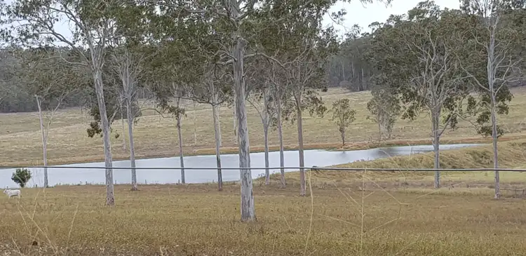 98 Reads Road, Avondale QLD 4670