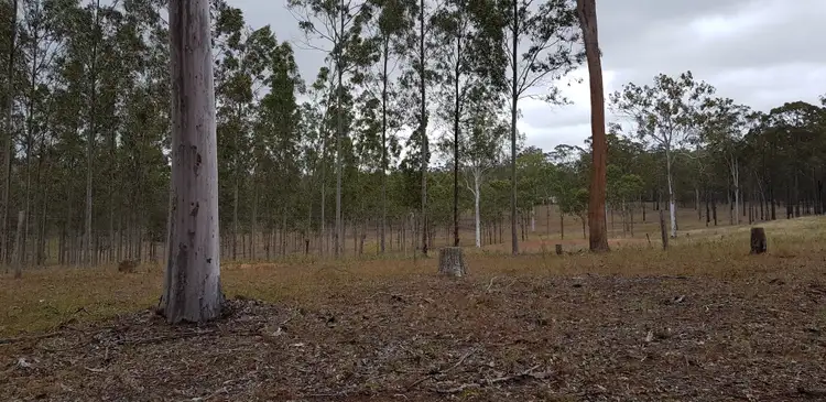 Fifth view of Homely rural property listing, 98 Reads Road, Avondale QLD 4670