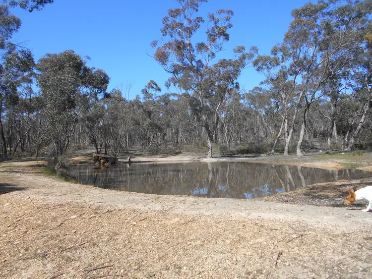 Second view of Homely rural property listing, 125 Old Ballarat Maryborough Road, Talbot VIC 3371