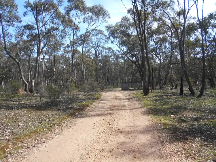 Fourth view of Homely rural property listing, 125 Old Ballarat Maryborough Road, Talbot VIC 3371
