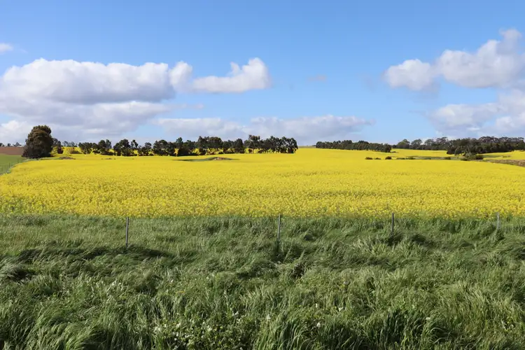 Second view of Homely rural property listing, MCPHERSONS ROAD, Rokewood VIC 3330