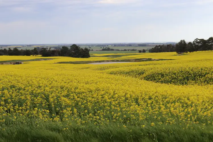 Third view of Homely rural property listing, MCPHERSONS ROAD, Rokewood VIC 3330