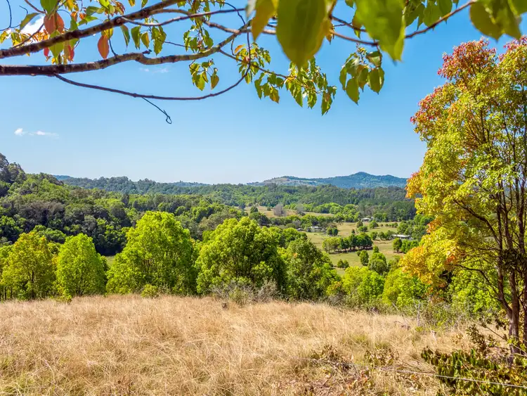 Fifth view of Homely rural property listing, 551 Left Bank Rd, Mullumbimby NSW 2482