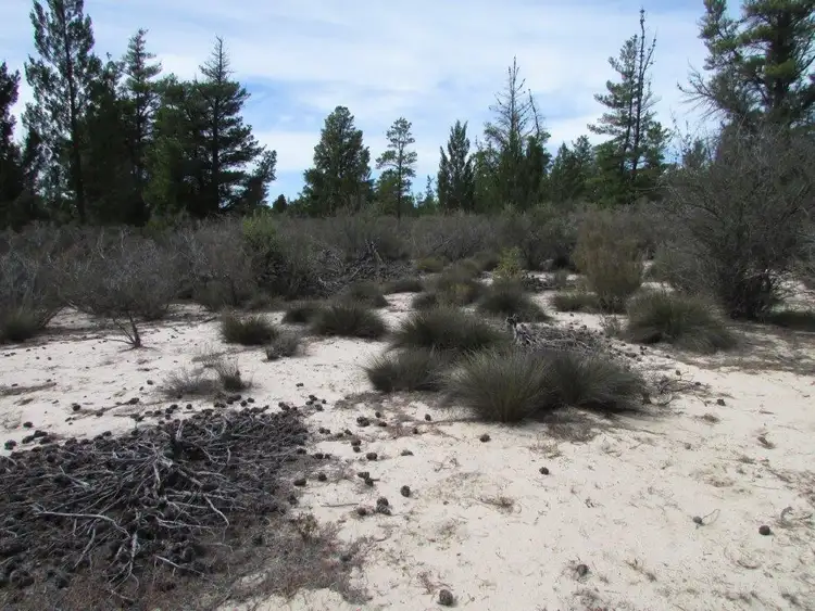 Fifth view of Homely land listing, LOT 14 Banksia Court, Dimboola VIC 3414