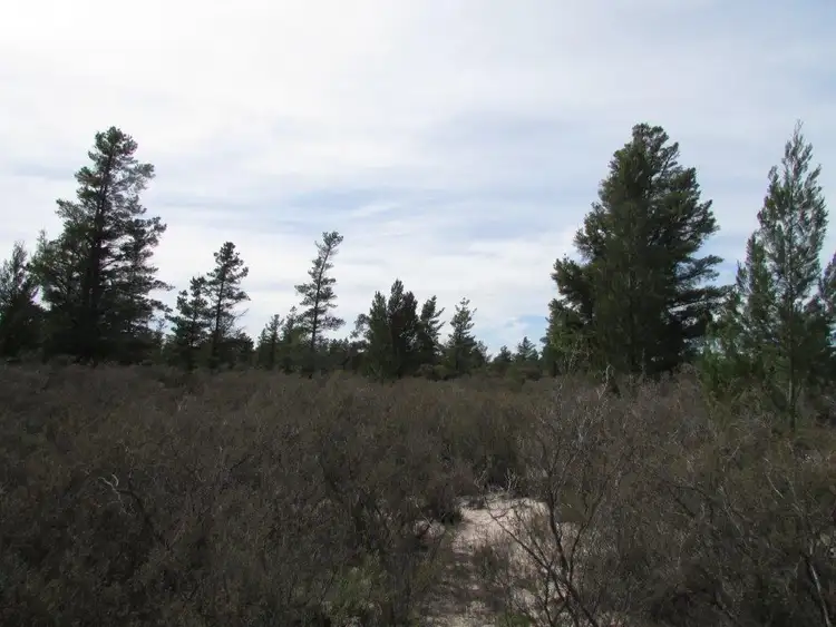 Sixth view of Homely land listing, LOT 14 Banksia Court, Dimboola VIC 3414