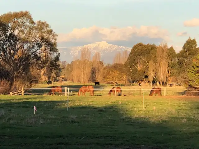 LOT 12/Lot Rowe Street, Mansfield VIC 3722
