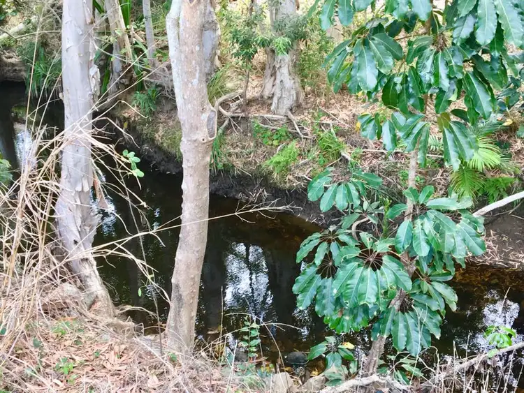 Sixth view of Homely house listing, 41 Kuttabul Mount Jukes Road, Kuttabul QLD 4741