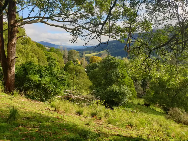 Fifth view of Homely rural property listing, 681 WATTAMOLLA ROAD, Wattamolla NSW 2535