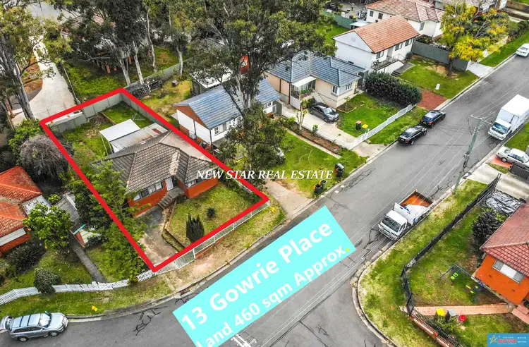 Main view of Homely house listing, 13 Gowrie Place, Cabramatta NSW 2166