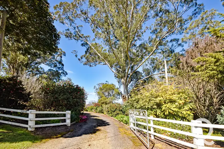 Third view of Homely rural property listing, 1100 Jacksons Track, Jindivick VIC 3818