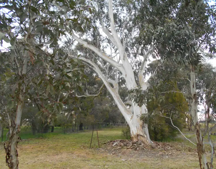 Second view of Homely rural property listing, 95 Fairview Drive, Clunes VIC 3370