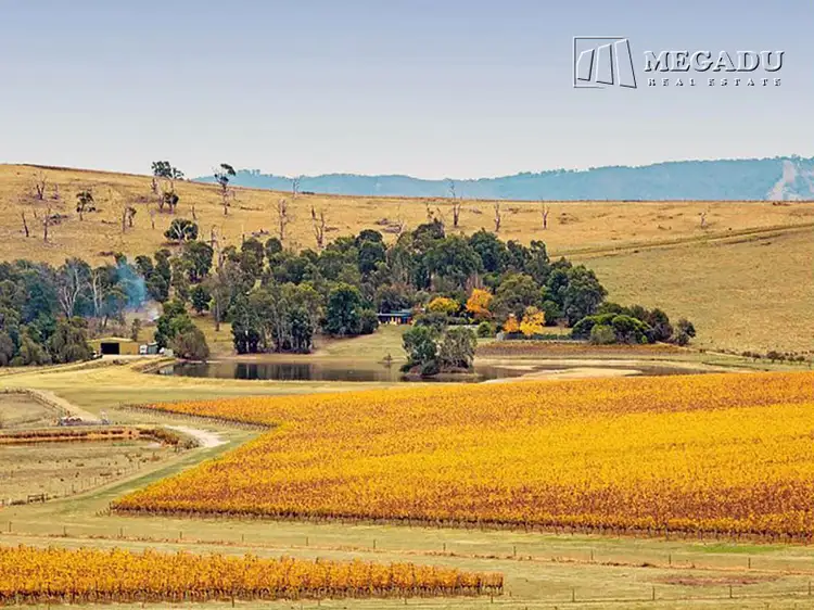 Main view of Homely house listing, 76 Boundary Road, Gruyere VIC 3770