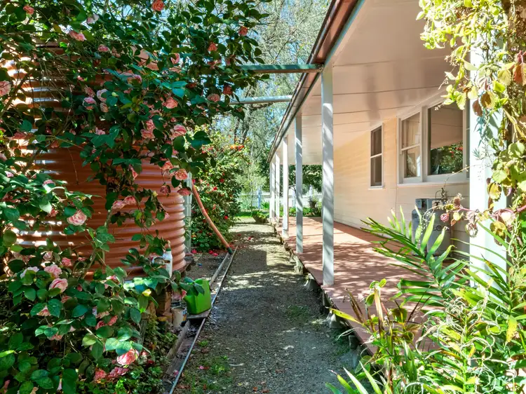 Fifth view of Homely house listing, 254 High Street, Violet Town VIC 3669