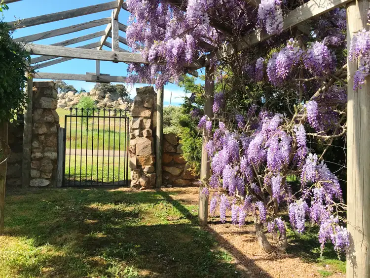 Fifth view of Homely rural property listing, 1125 Tarcombe Road, Avenel VIC 3664